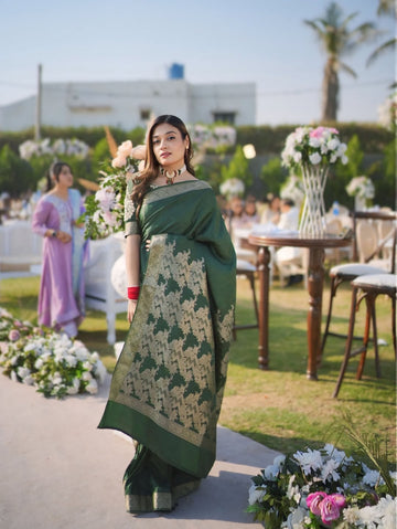 Sheffun Banarsi Mahnoor Saree
